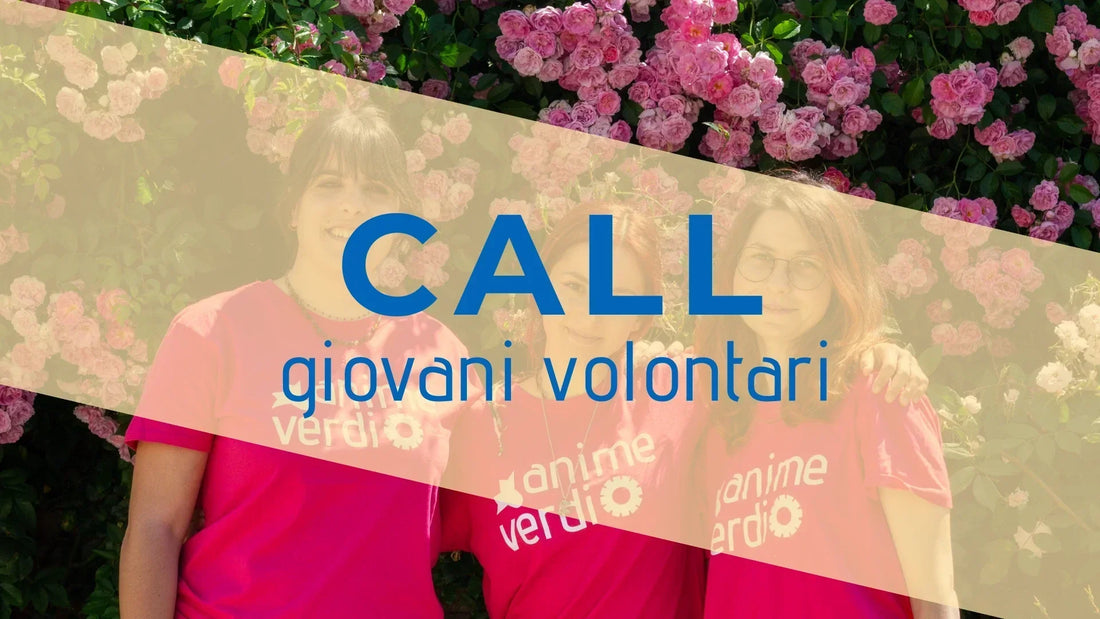 Call Volontari
